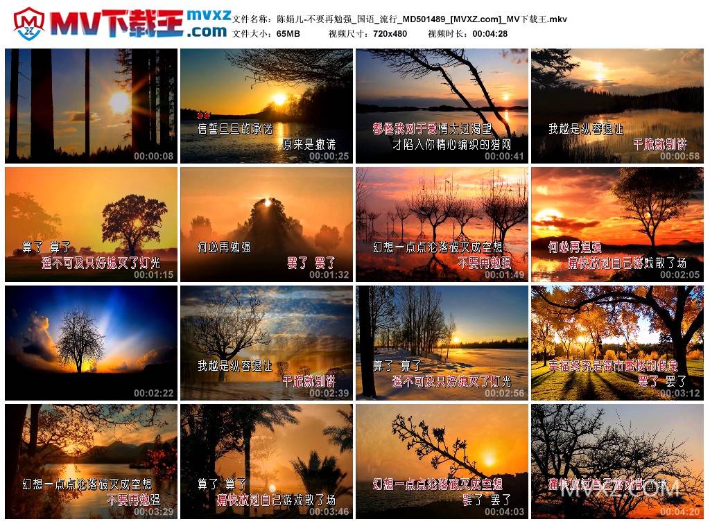 陈娟儿-不要再勉强_国语_流行_MD501489